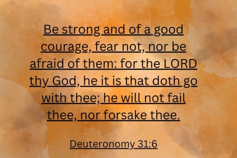 He Will Not Forsake You