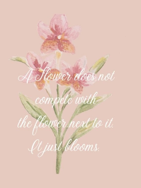 A flower does not compete; it just blooms