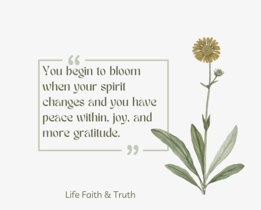 You begin to bloom when you change