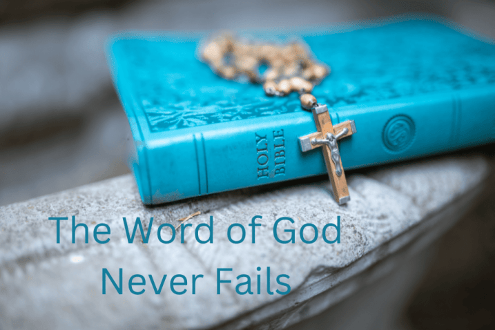 Daily Devotional Word of God