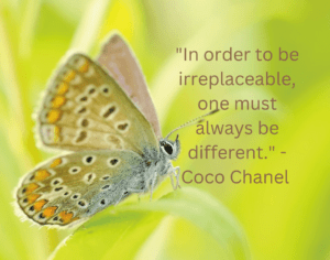 Quotes Irreplaceable