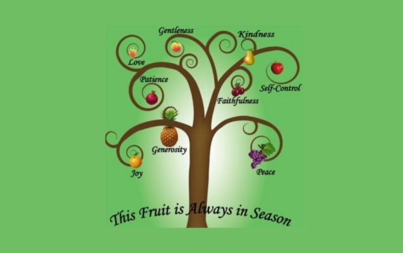 The Fruit of The Spirit