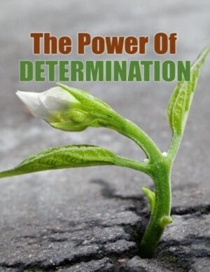 The Power of Determination eBook