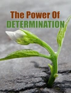 Power of Determination